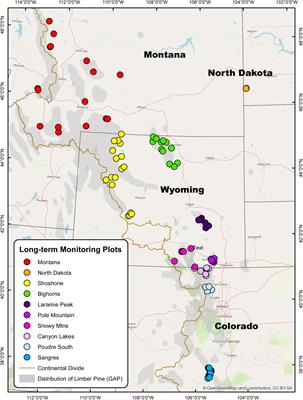 Frontiers | Interactions between white pine blister rust, bark beetles ...