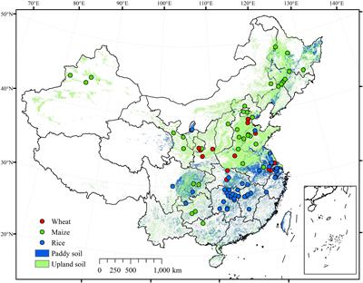 Frontiers | Effect of replacing synthetic nitrogen fertilizer with ...