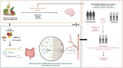 Frontiers | The gut-derived metabolites as mediators of the effect of ...