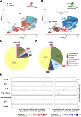 Frontiers | Integrated multi-omics analysis reveals insights into ...