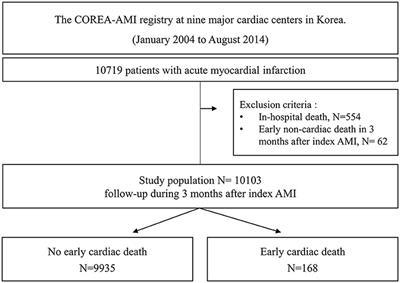 From Severe LV Dysfunction Without Heart Failure to Killip Class III and  IV: Who Needs Mechanical Hemodynamic Support During Primary PCI?