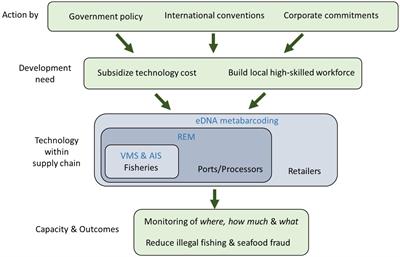 How technology can help transform the fishing industry