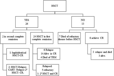 Frontiers - Younger age and induction failure predict outcomes in ...