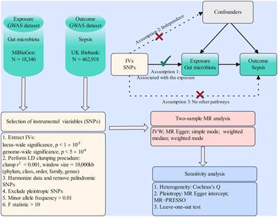 Frontiers  Sepsis-Induced myocardial dysfunction: heterogeneity of  functional effects and clinical significance