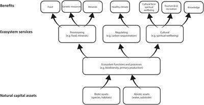 Frontiers  Industry remotely operated vehicle imagery for assessing marine  communities associated with subsea oil and gas infrastructure on the  continental shelf of South-East Australia