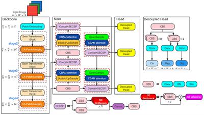 Frontiers | ST-YOLOA: a Swin-transformer-based YOLO model with an ...