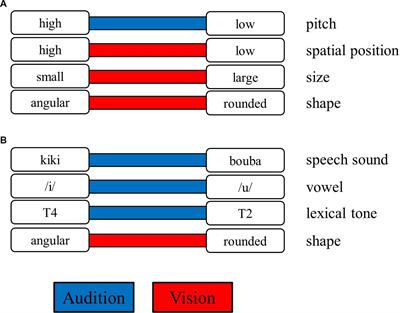 Frontiers | Examining the automaticity and symmetry of sound–shape ...