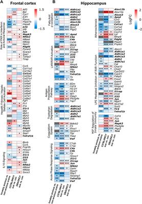 Frontiers Sensing The Stress A Role For The Uprmt And Upram In The