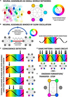 Frequency-specific neuromodulation of local and distant