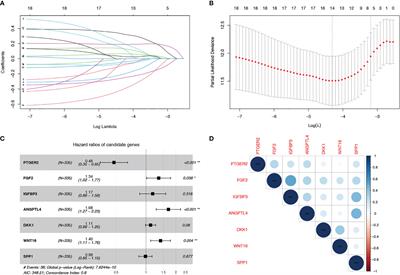 Simple gene signature to assess murine fibroblast polarization