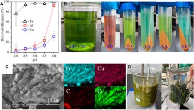 What Are The Different Methods Of Ph Adjustment In Fertigation Systems