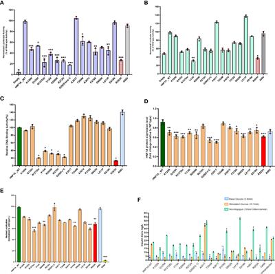 Frontiers | Molecular characterization and re-interpretation of HNF1A ...