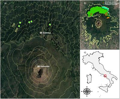 Frontiers In Forests And Global Change 