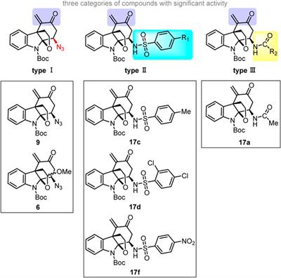 Frontiers | Akuammiline alkaloid derivatives: divergent synthesis and ...