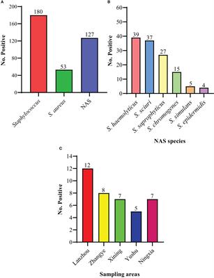 Differences Between Staphylococcus and Streptococcus - Microbiology Info.com