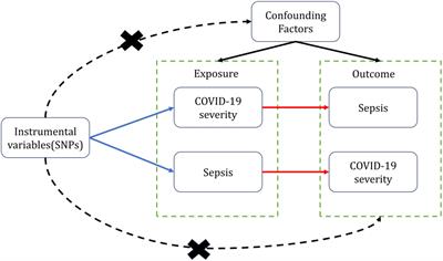 Genetic Factors of the Disease Course after Sepsis: A Genome-Wide Study for  28Day Mortality - eBioMedicine