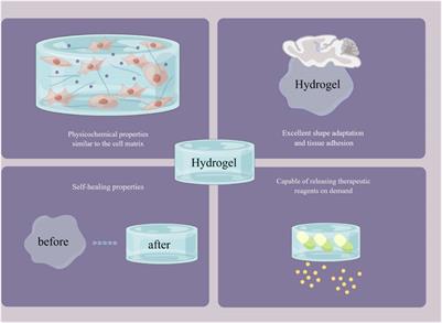 Frontiers  Functional hydrogels for the repair and regeneration of tissue  defects