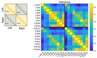 Frontiers  Diurnal Variations in Neural Activity of Healthy Human