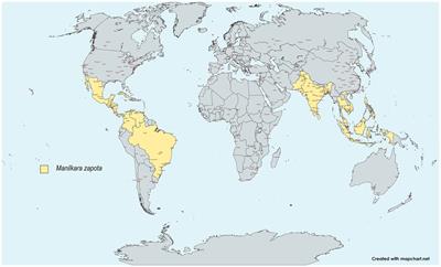 THIS MAP SHOWS THE COUNTRIES WITH THE BIGGEST AND SMALLEST BOOBS IN THE  WORLD - eL CREMA