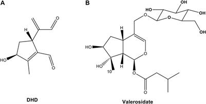 Frontiers | Discovery of a heat-generated compound DHD derived from ...