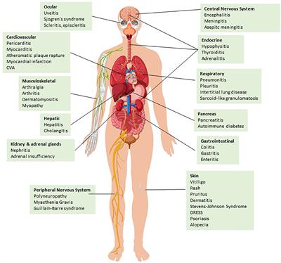 Frontiers | Immune-related adverse effects of checkpoint immunotherapy ...