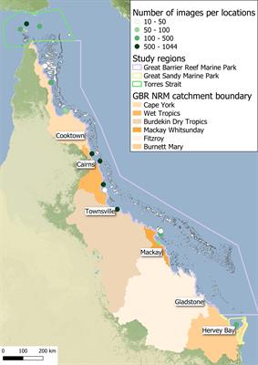 Frontiers | Subtidal seagrass detector: development of a deep learning ...