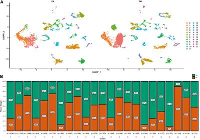 Frontiers | Single-cell transcriptome analysis reveals a cellular ...