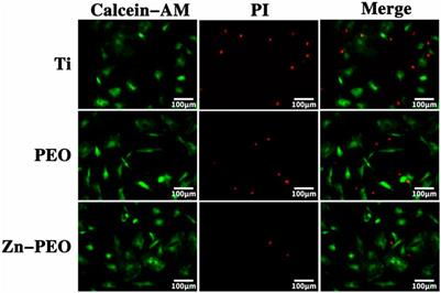 Frontiers  Antibacterial intraosseous implant surface coating