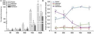 Frontiers | Transcriptome profiling in rumen, reticulum, omasum, and ...