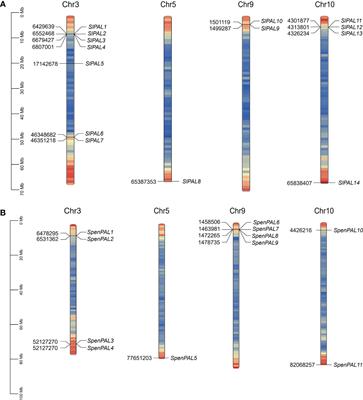 Frontiers Genome Wide Identification And Comprehensive Analyses Of