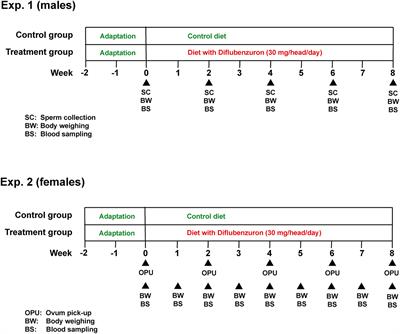 Benzoylurea Chitin Synthesis Inhibitors  Journal of Agricultural and Food  Chemistry