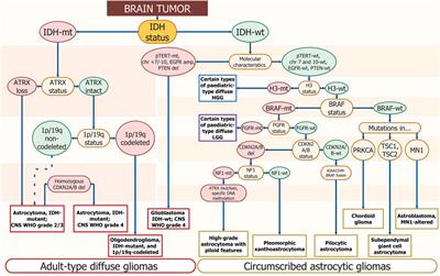 Frontiers  Comprehensive clinical assays for molecular