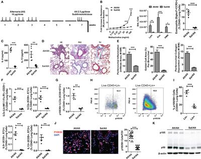 Frontiers | NFκB1 inhibits memory formation and supports effector ...