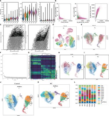 Frontiers  Identification of MARK2, CCDC71, GATA2, and KLRC3 as