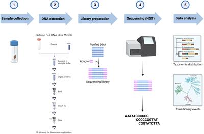 Changes in gut microbiota composition after 12 weeks of a home-based  lifestyle intervention in breast cancer survivors during the COVID-19  lockdown - Frontiers