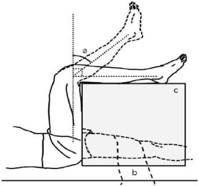 Leg Raise Test - Supine Position - Trial Exhibits Inc.