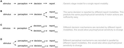 Does report modality modulate psychophysical sensitivity? The jury remains out