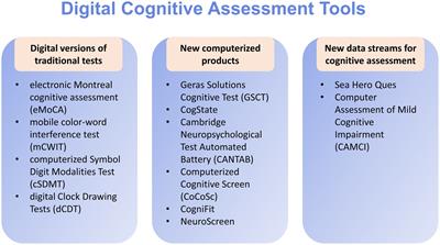 Frontiers  Neuropsychological Assessments of Patients With