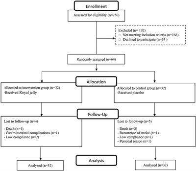 Frontiers | Effects of the royal jelly consumption on post-stroke ...