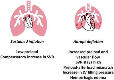 Frontiers | Role of cardiopulmonary interactions in development of ...