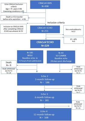 Frontiers  Left Ventricular Global Longitudinal Strain Is Associated With  Cardiovascular Outcomes in Patients Who Underwent Permanent Pacemaker  Implantation