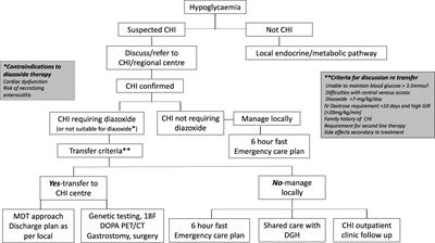 Frontiers  Standardised practices in the networked management of  congenital hyperinsulinism: a UK national collaborative consensus