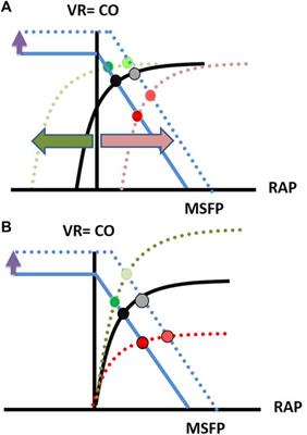 Frontiers | Cardiopulmonary interactions—which monitoring tools to use?