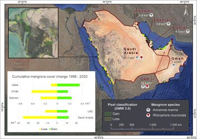 Frontiers | Remote sensing-based assessment of mangrove ecosystems in ...