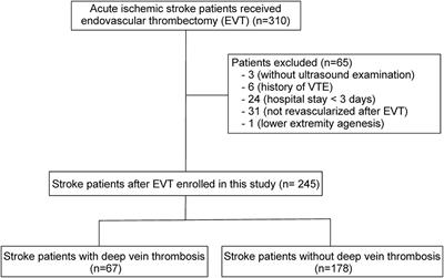 Deep Vein Thrombosis (DVT) – New England Endovascular Center