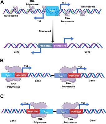 Frontiers | An outlook to sophisticated technologies and novel ...