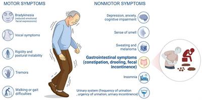 Frontiers | Acupuncture for Parkinson's disease-related constipation ...