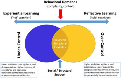 Can smartphone‐based response inhibition training elicit sustained