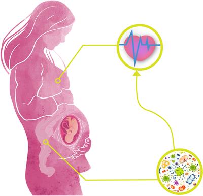 Emulsifier consumption during pregnancy could be linked to 'minor