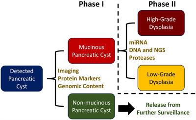 Rife Machine for Cancer: Does It Work? Claims, Research, and Risks